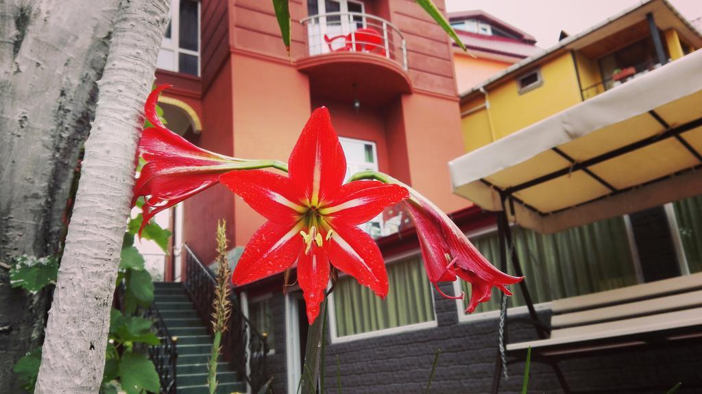 Gold Guest House Gonio Exterior foto