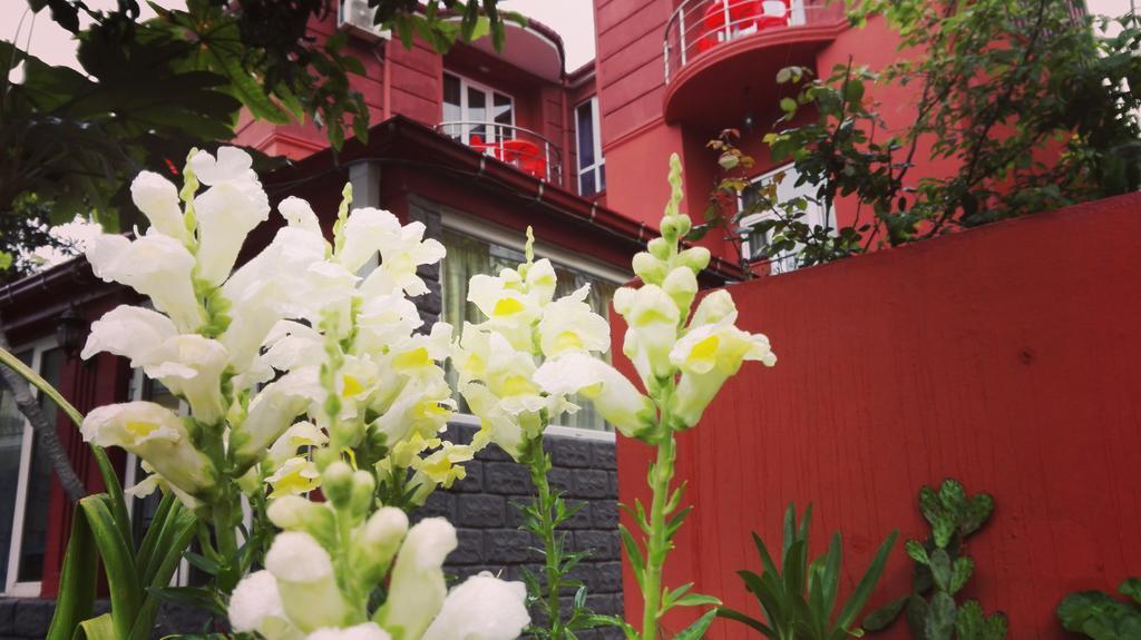 Gold Guest House Gonio Exterior foto